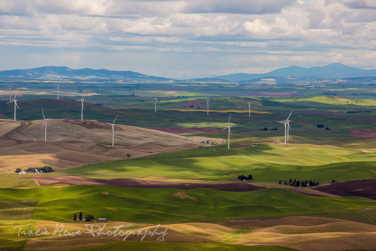 Palouse from Steptoe Butte