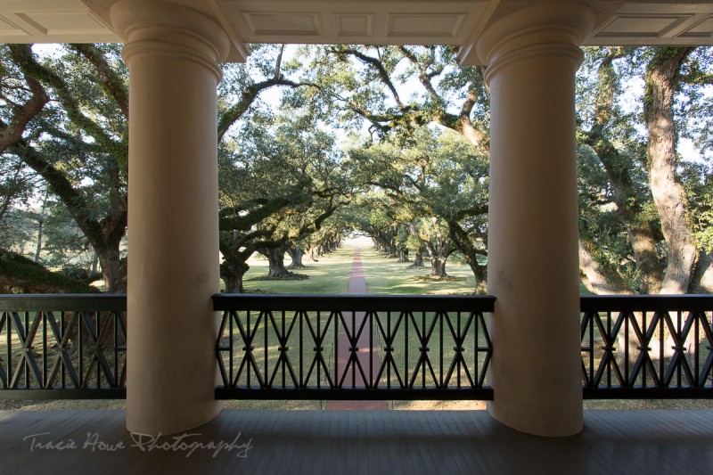 Day trip from New Orleans to Oak Alley Plantation