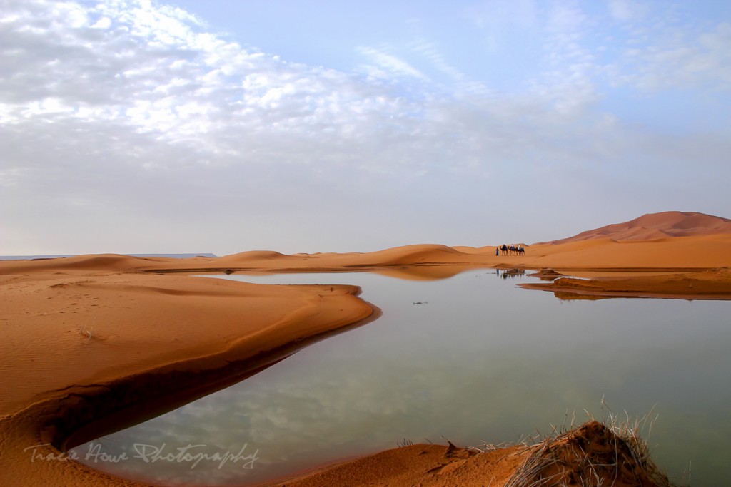 photo of Sahara Desert