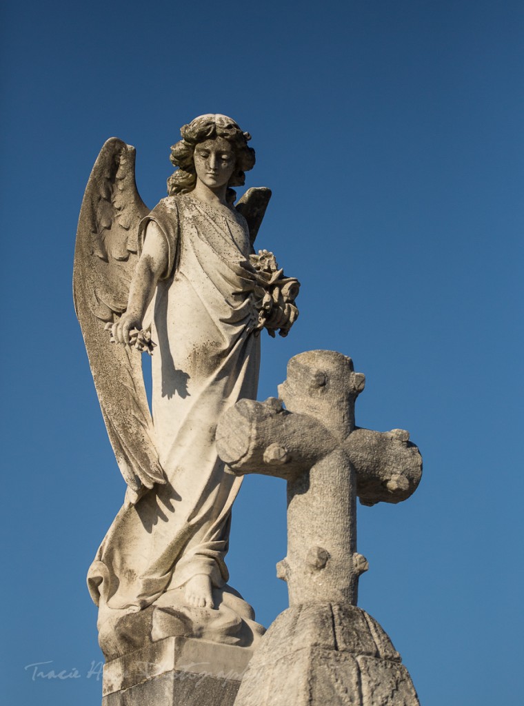 Greenwood Cemetery in New Orleans