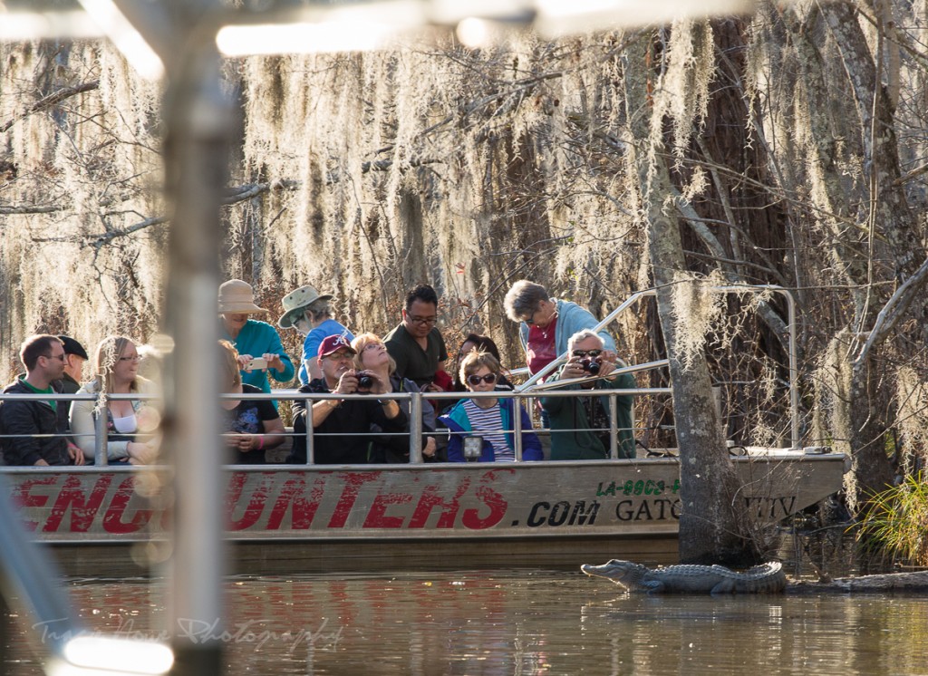 Cajun Encounters Swamp Tour