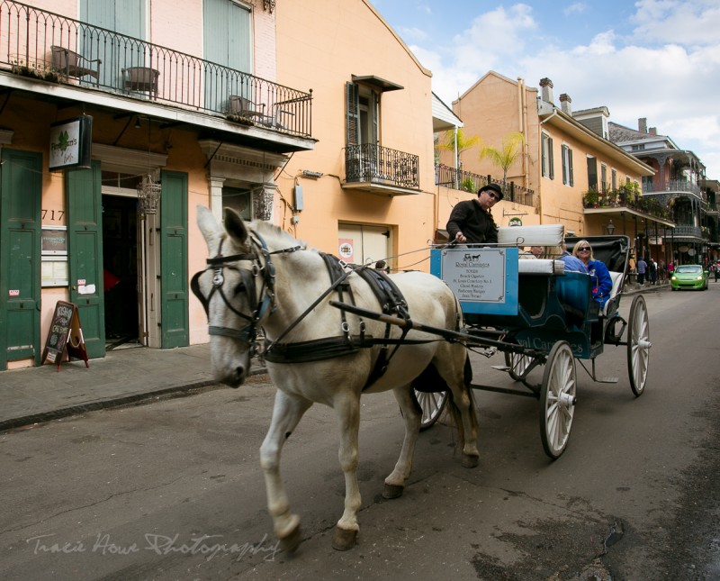 New Orleans transportation options