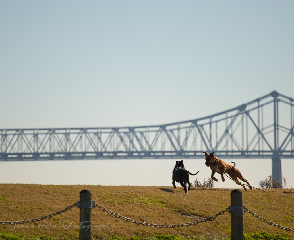 walk along the New Orleans riverfront