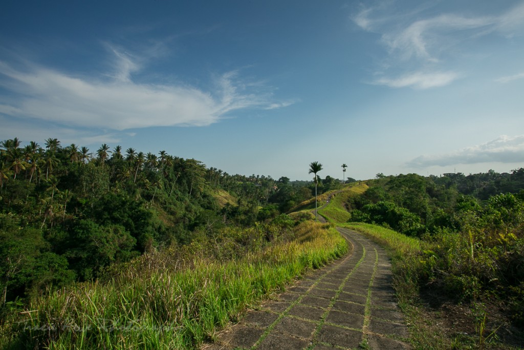 Campuhan Ridge Walk in Ubud