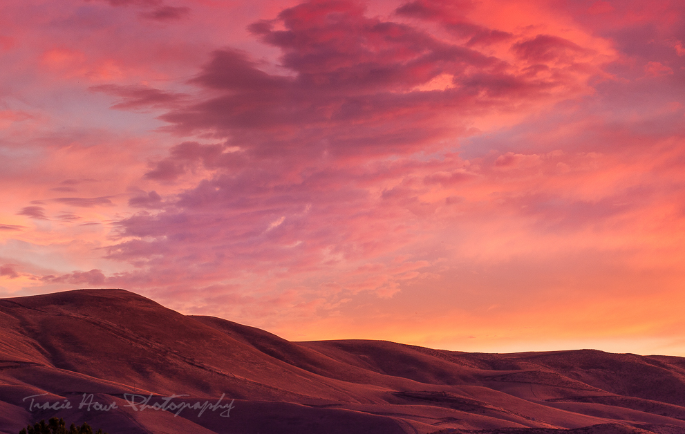 Golden hour at Palouse