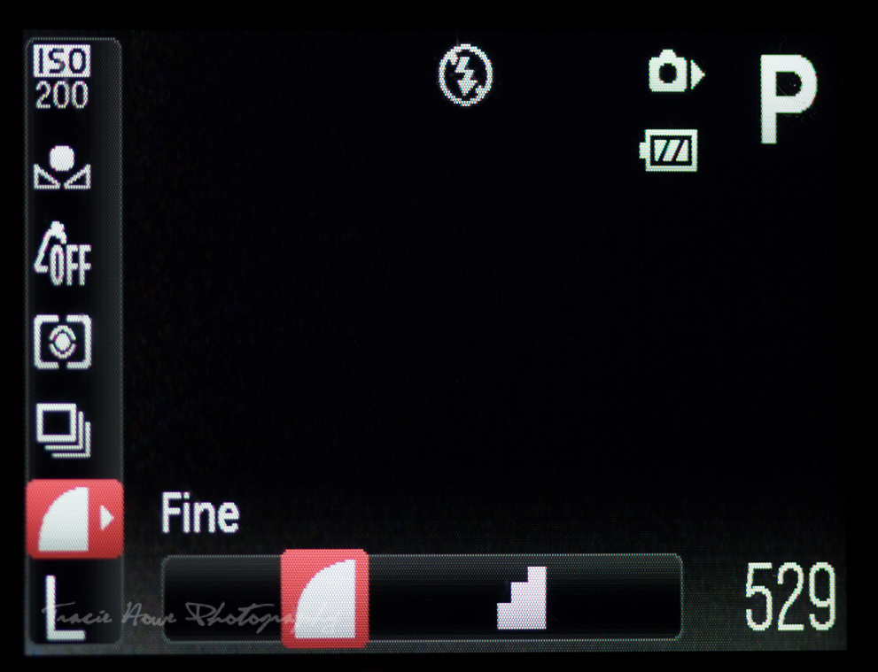 Canon Powershot D10 settings2 Tracie Travels