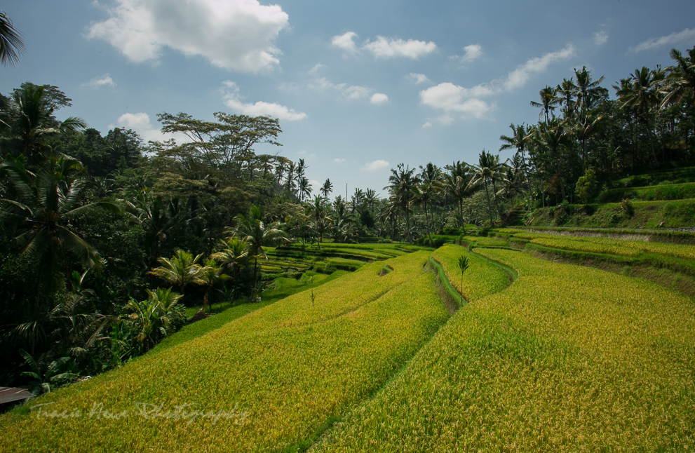 Bali itinerary highlights-4