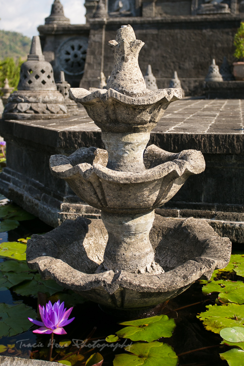 Bali Bhuddist temple