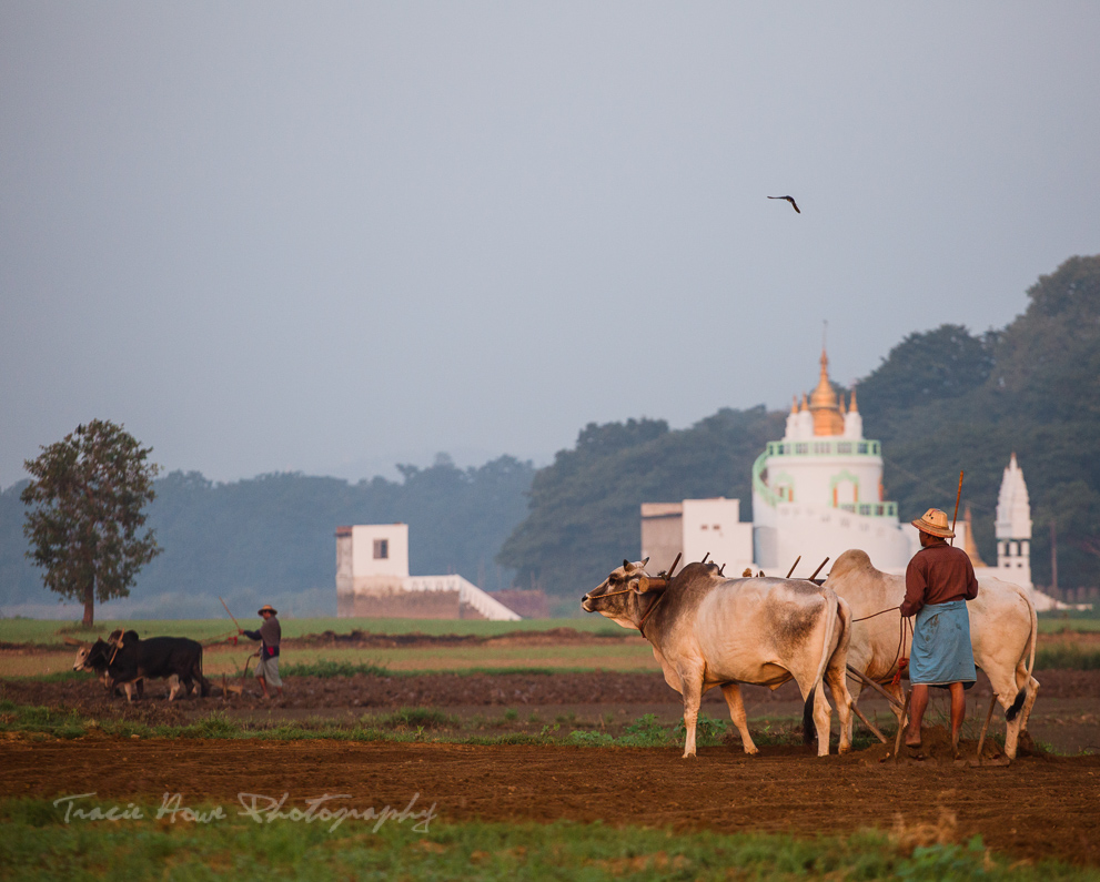 non-technical DSLR tips - Ubein bridge farmers