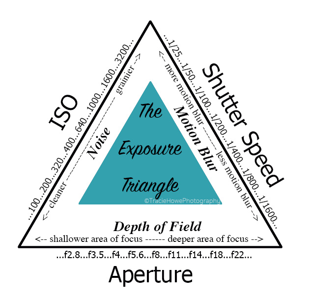 The Exposure Triangle | Tracie Travels