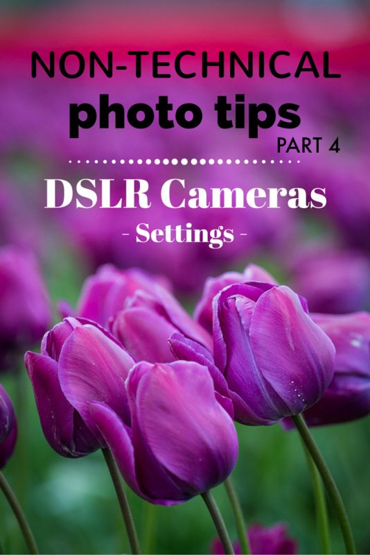 Non-technical photography tips for DSLR cameras - settings | Tracie Travels