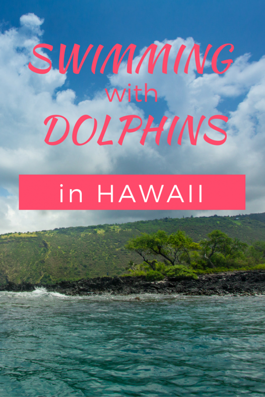 swimming with dolphins in Hawaii