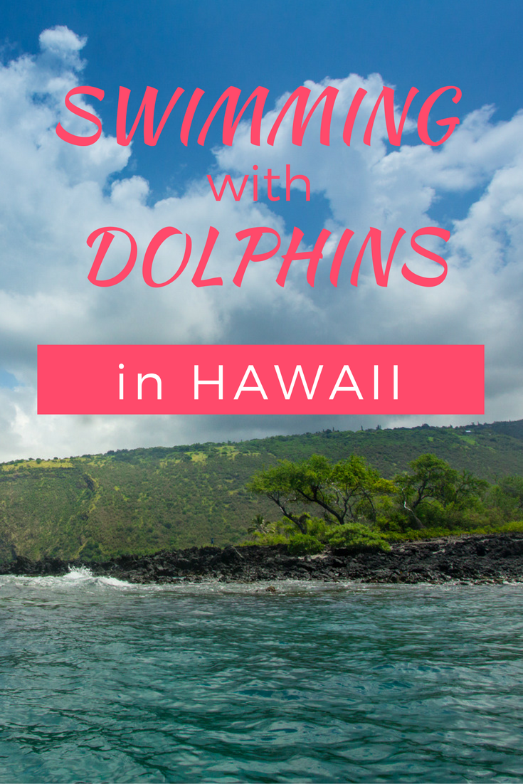 swimming with dolphins in Hawaii