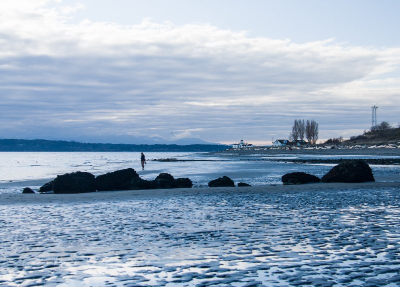 Discovery Park beach at low tide