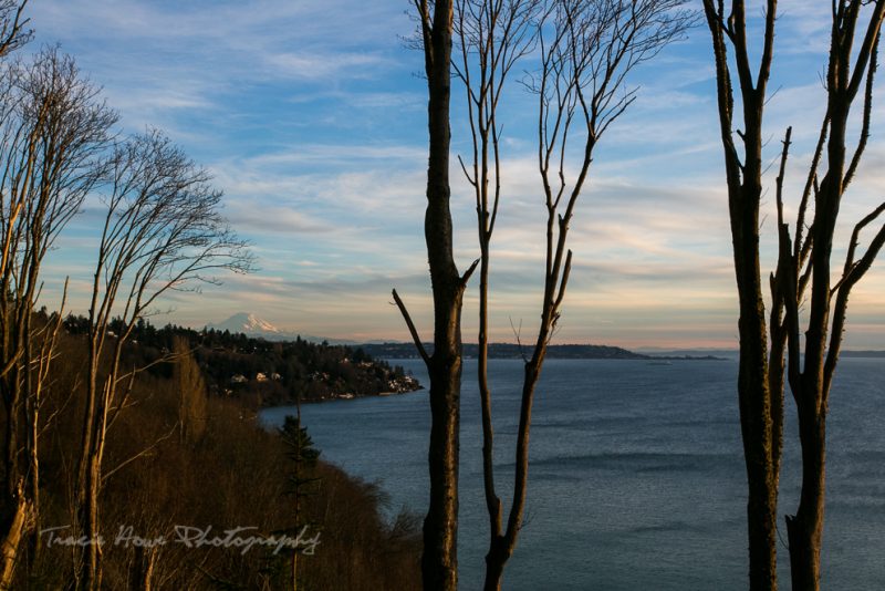 Discovery Park trail to beach