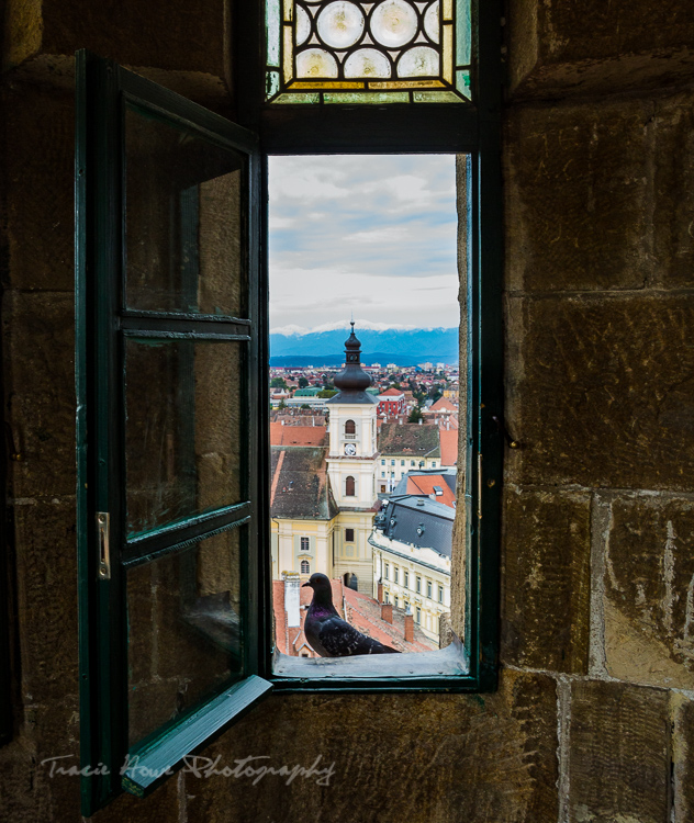 Best viewpoint in Sibiu