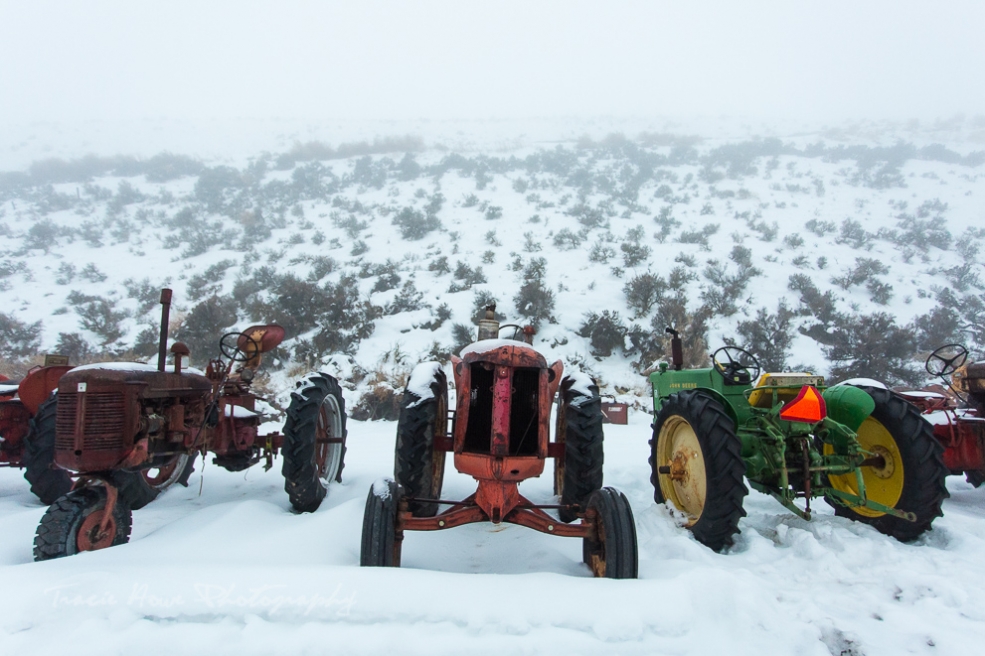 Day 1 A weekend of winter fun in Union Gap, WA Tracie Travels