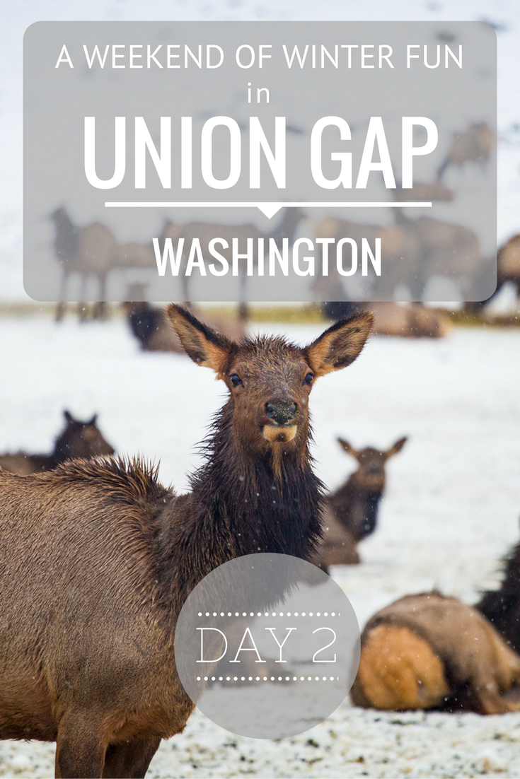 Weekend of winter fun Union Gap, WA - Day 2 | Tracie Travels