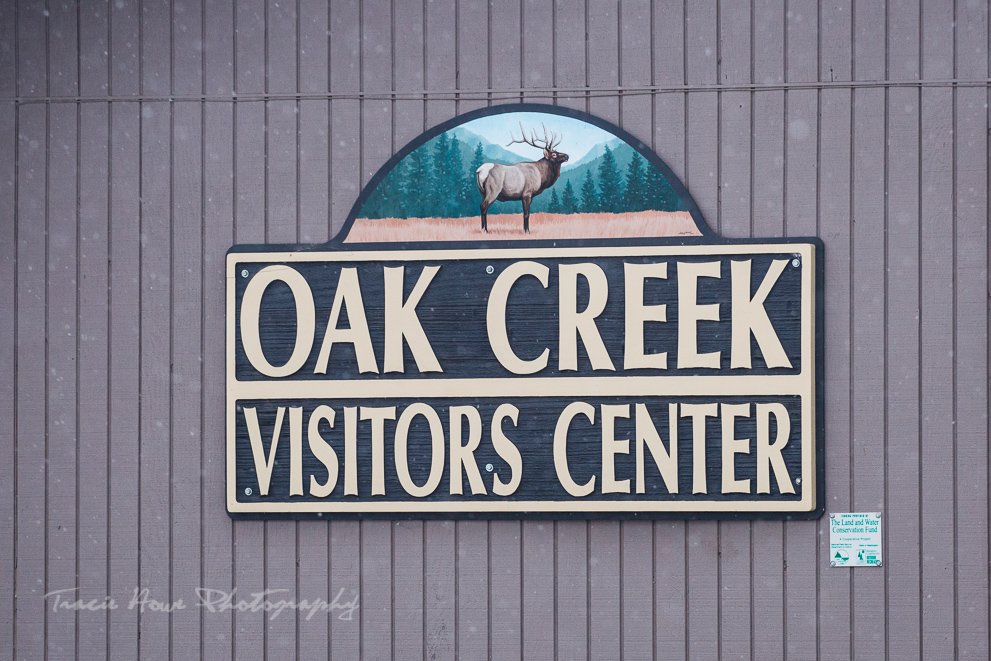Oak Creek wildlife area Elk feeding station
