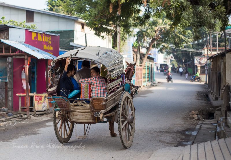 horse and carriage in Myanmar