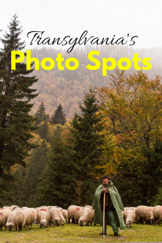 Top photo spots in Transylvania | Tracie Travels
