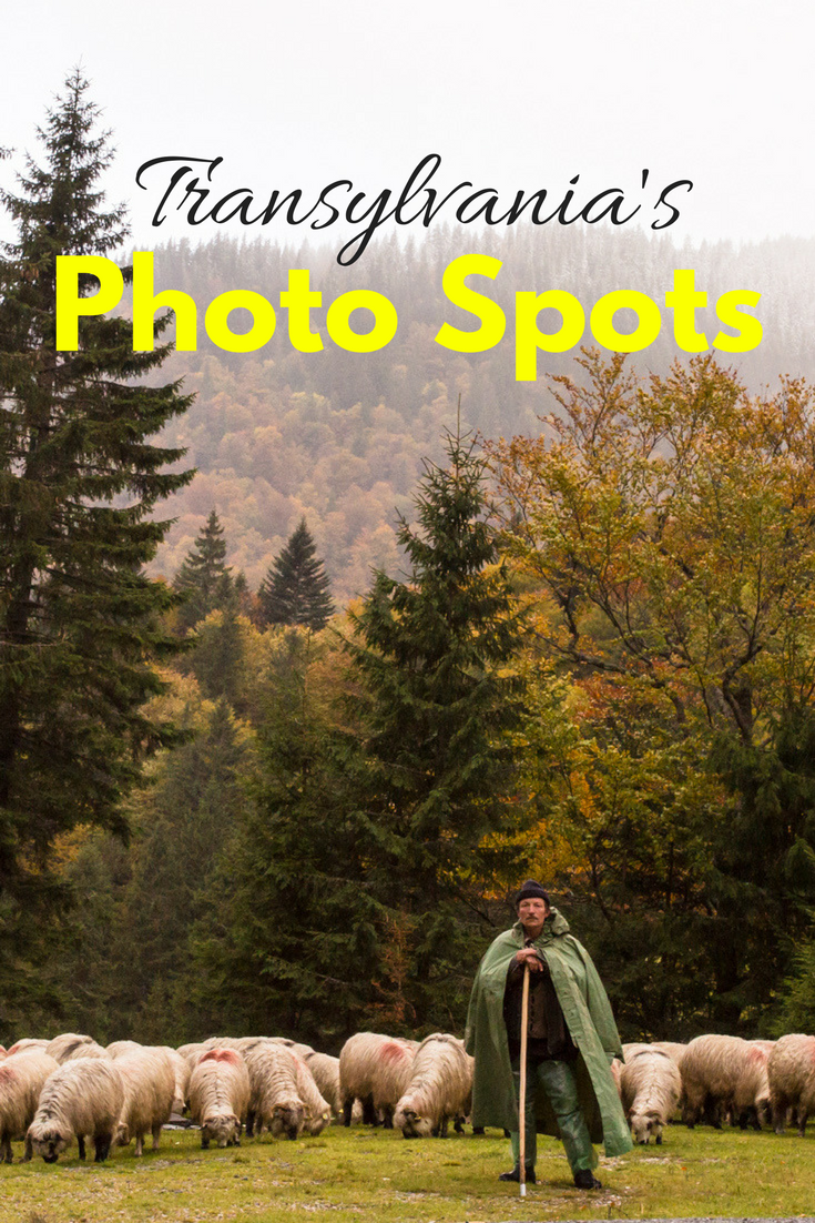 Top photo spots in Transylvania | Tracie Travels