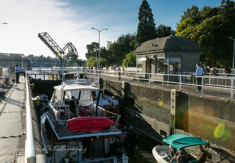 Guide to the top 10 things to do in Seattle