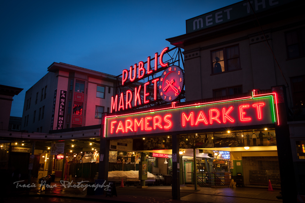 10 best things to do in seattle