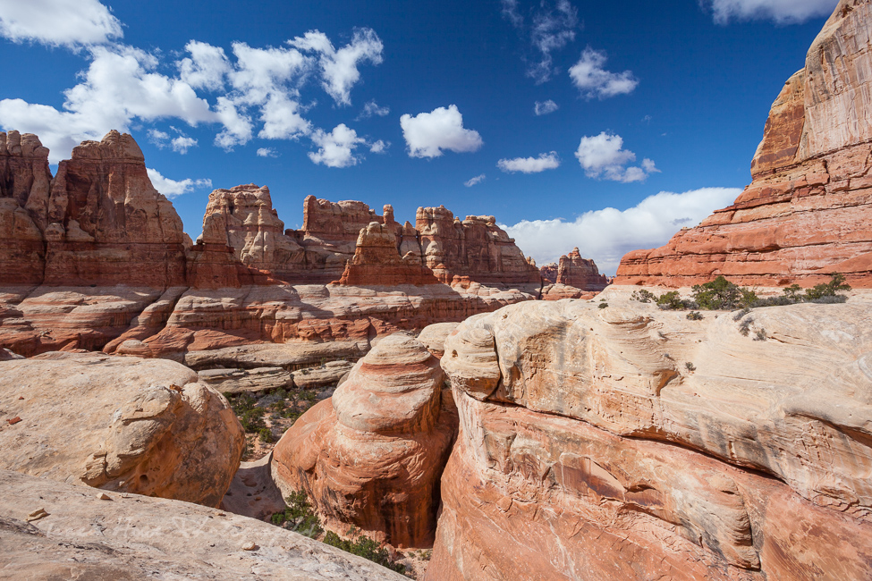 Canyonlands Druid Arch hike