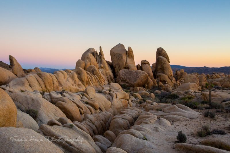 Best places for photography in the Southwest - Joshua Tree
