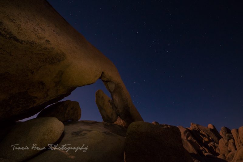 Best places for star photography in the Southwest - Joshua Tree