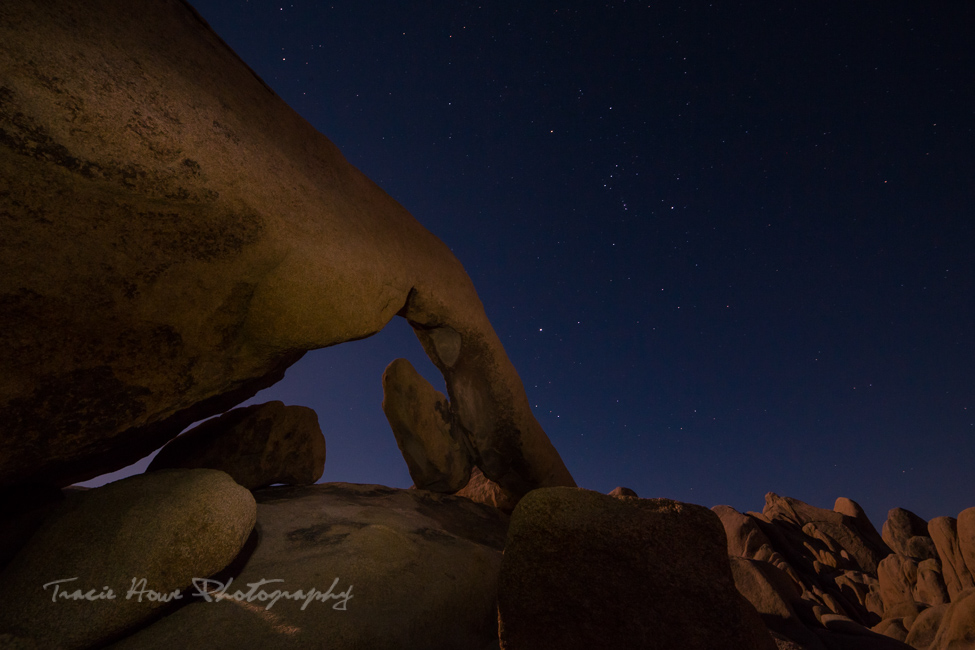  Best places for star photography in the Southwest - Joshua Tree