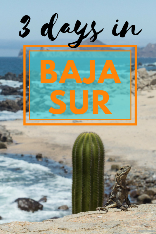 What to do with 3 days in Baja Sur? | Tracie Travels