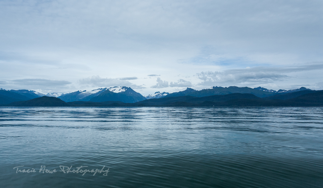 Scenery from Gastineau Guiding whale watching tour