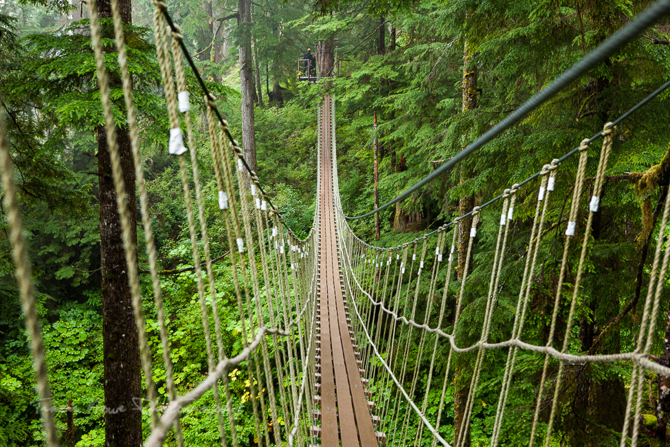 ziplining in Ketchikan 