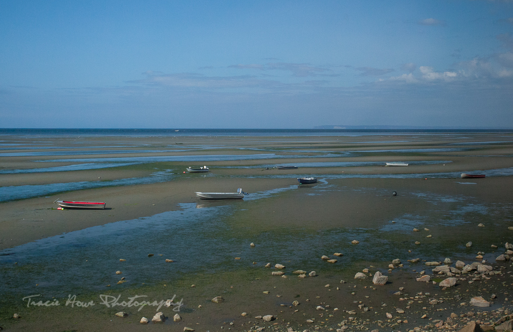 Amtrak Cascades coastal scenery