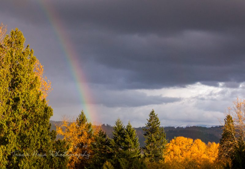 rainbow over Snohomish, Seattle NorthCountry