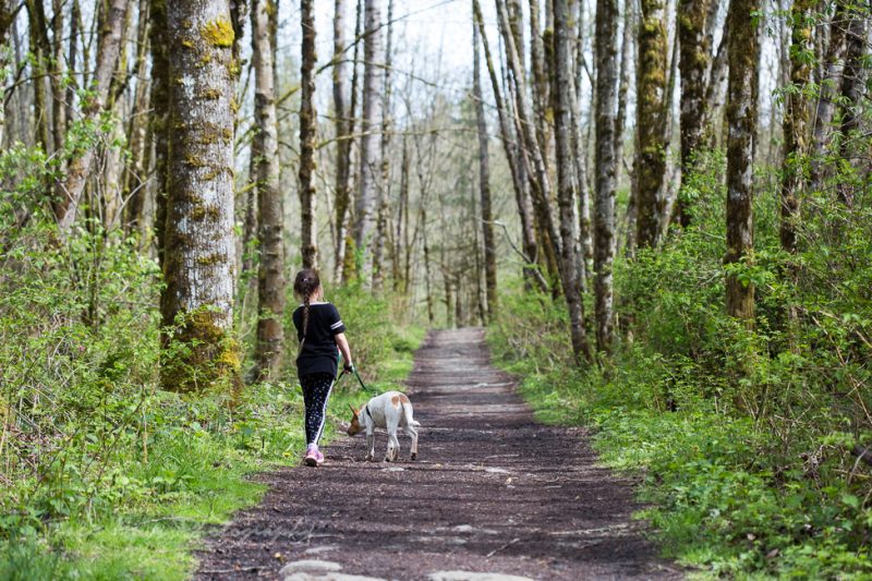 A trail in Snohomish, Seattle NorthCountry